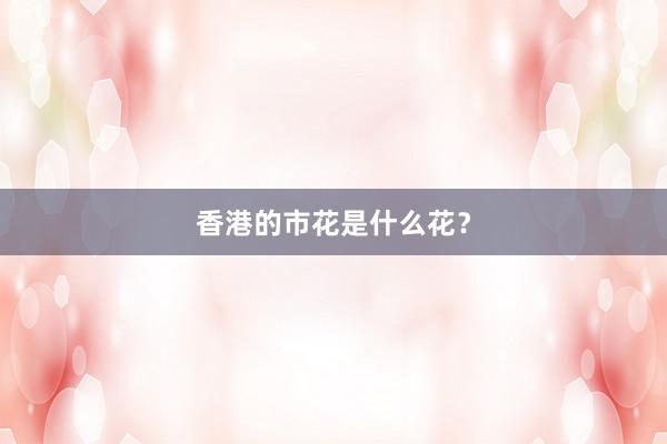 香港的市花是什么花？