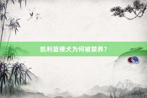 凯利蓝梗犬为何被禁养？