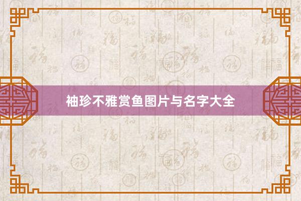 袖珍不雅赏鱼图片与名字大全
